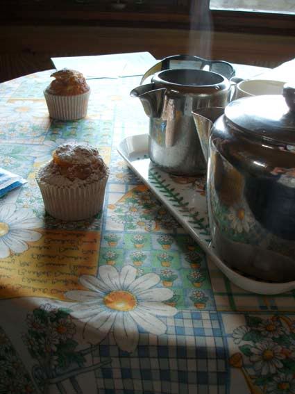 Hidden Valley Gardens at Treesmill, Near Par tea and cakes