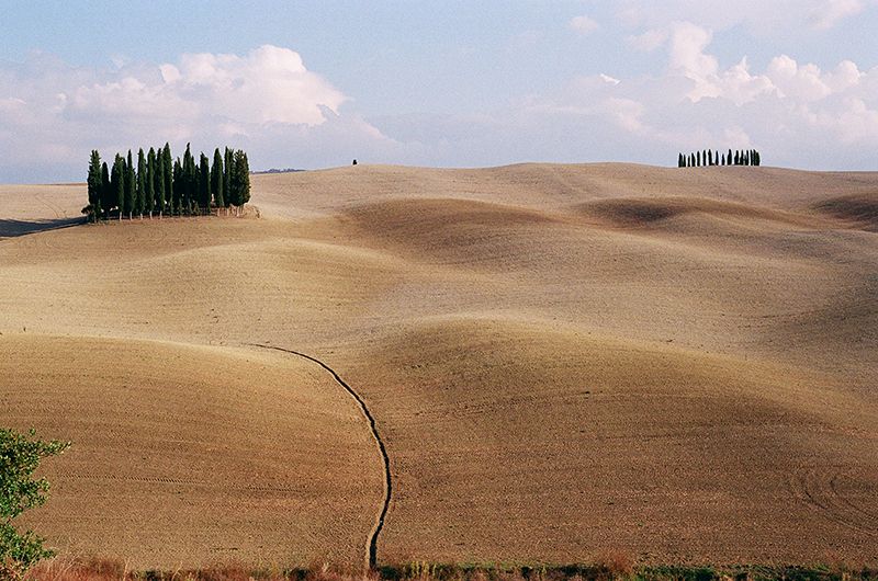 Italy, Road trip, driving italy, Photography, 35mm, film, 35mm film, Contax G2, photo Fields_zpsib8whcci.jpg