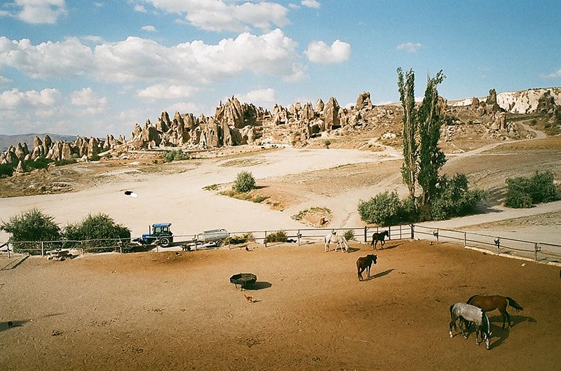 Turkey, Cappadocia, photo Horses_zps37c9dd75.jpg