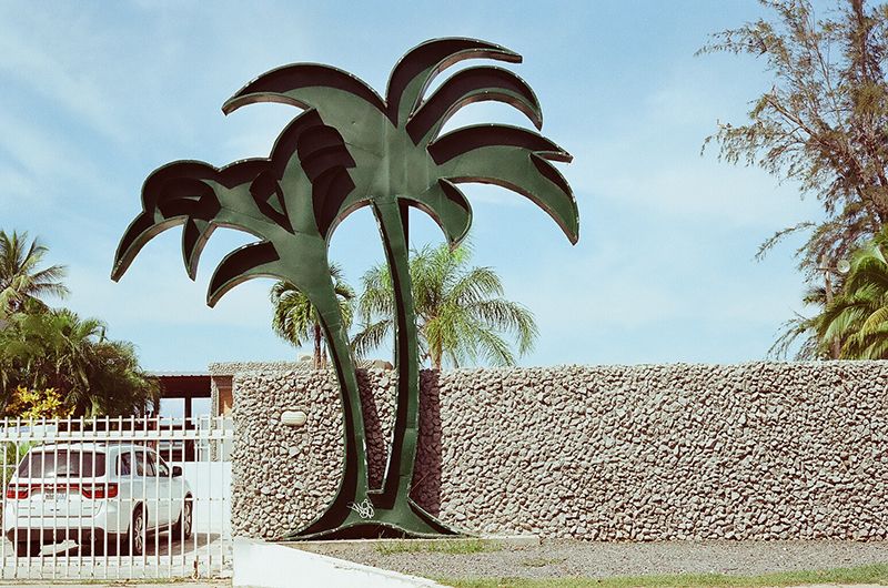 Puerto Rico, Contax G2, Film, 35mm, Tropical, Palm trees, Architecture, beach photo Metalpalm_zpsgenttls7.jpg