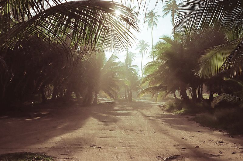 Coco frio, Puerto Rico, Surf, Contax G2, Film, Palm trees, Crash Boat Beach, Denasty, Sunrise, Holiday, Travel, photography, photo Palmssun_zpsqxuamvsi.jpg