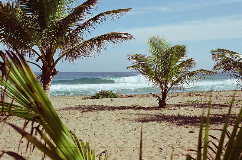 Coco frio, Puerto Rico, Surf, Contax G2, Film, Palm trees, Crash Boat Beach, Denasty, Sunrise, Holiday, Travel, photography, photo Wavepalms_zpsjo7hevjz.jpg