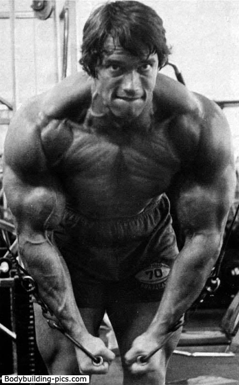Arnold_Schwarzenegger_1965.jpg