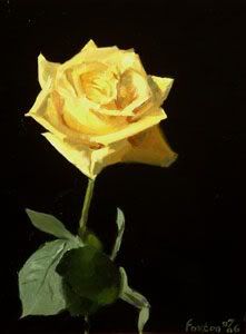 Yellow Roses Yellow roses indicate friendship and freedom -- so don\\'t send them if your intentions are romantic and long-lasting. Yellow roses are also appropriate for sending congratulations to newlyweds, graduates, Texans, and new mothers. Pictures, Images and Photos