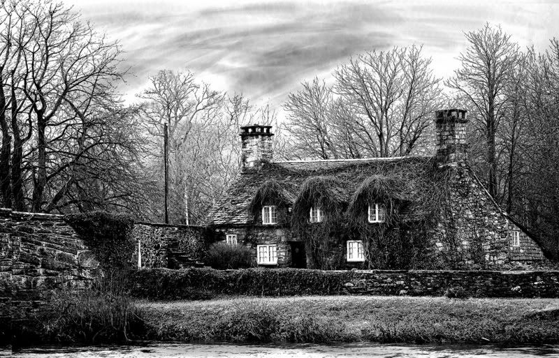 IMAGE: http://i8.photobucket.com/albums/a30/nfbds/teashop.jpg