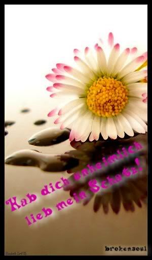 Image hosting by Photobucket