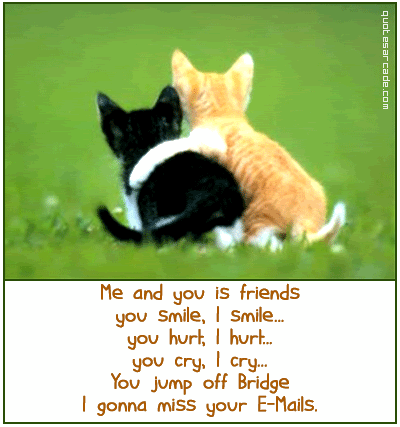 funny best friend quotes and sayings. funny best friends quotes