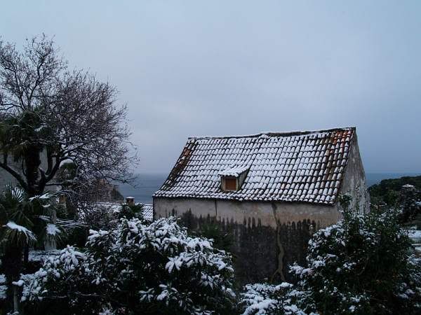 slika
