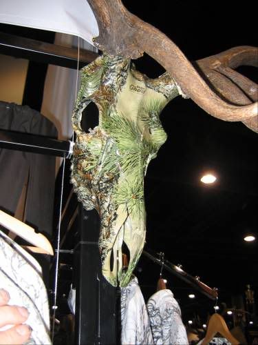 skull1.jpg