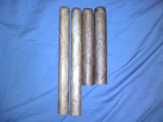 [Image: 01-04-08_1145.jpg]