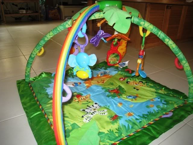 Fisher Price RainForest Melodies And Lights Deluxe Gym Photo by ...