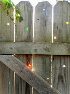 wooden fence with marbles
