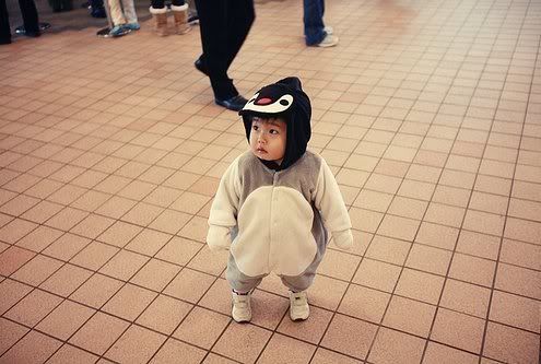 asian penguin baby