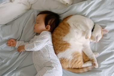 Cat and Kid
