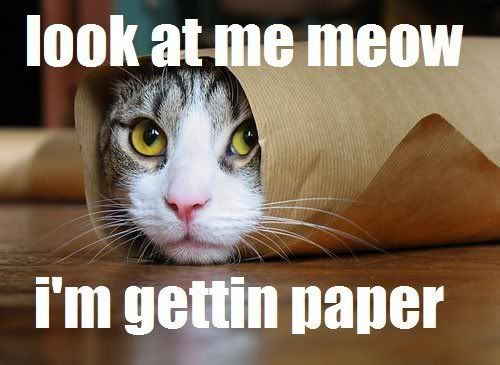 look at meow I'm getting paper