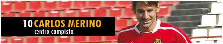 10-Merino.jpg