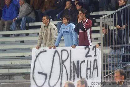 Gori.jpg