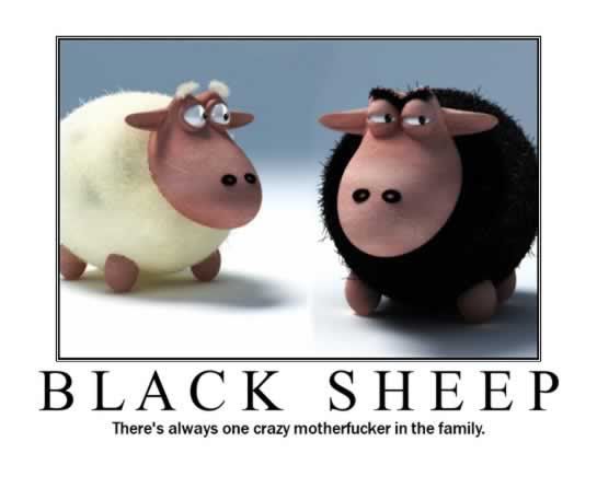 [Image: black_sheep.jpg]