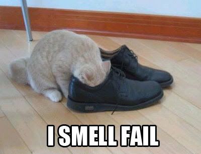 i-smell-fail-kitten.jpg