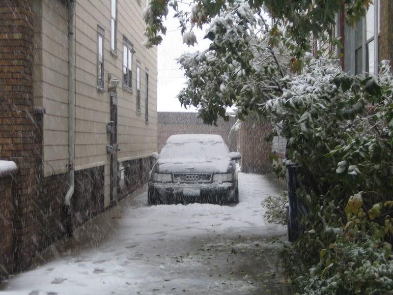 http://i8.photobucket.com/albums/a36/jessica9232/Snow_In_October003.jpg