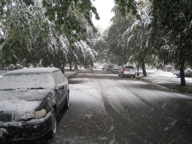 http://i8.photobucket.com/albums/a36/jessica9232/Snow_In_October004.jpg