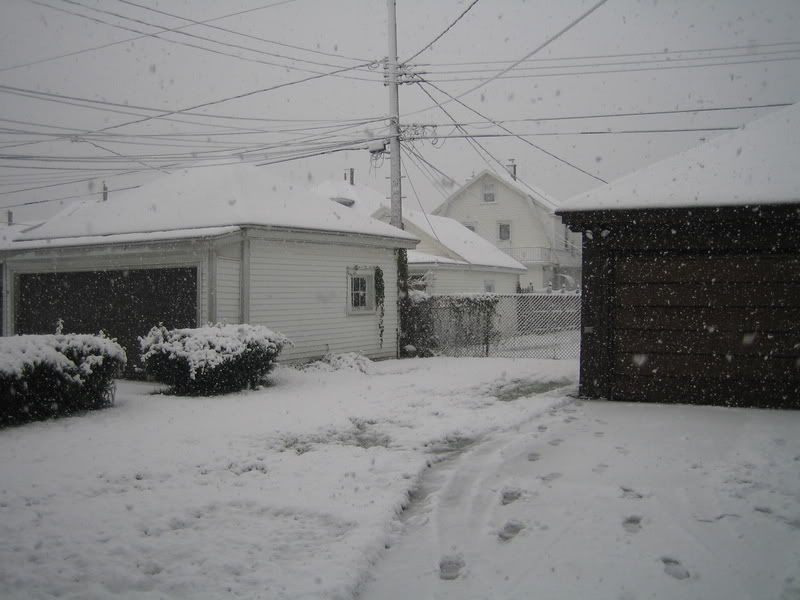 http://i8.photobucket.com/albums/a36/jessica9232/Snow_In_October006.jpg