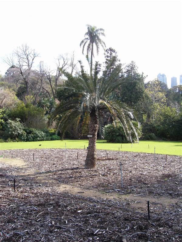 Melbourne105.jpg