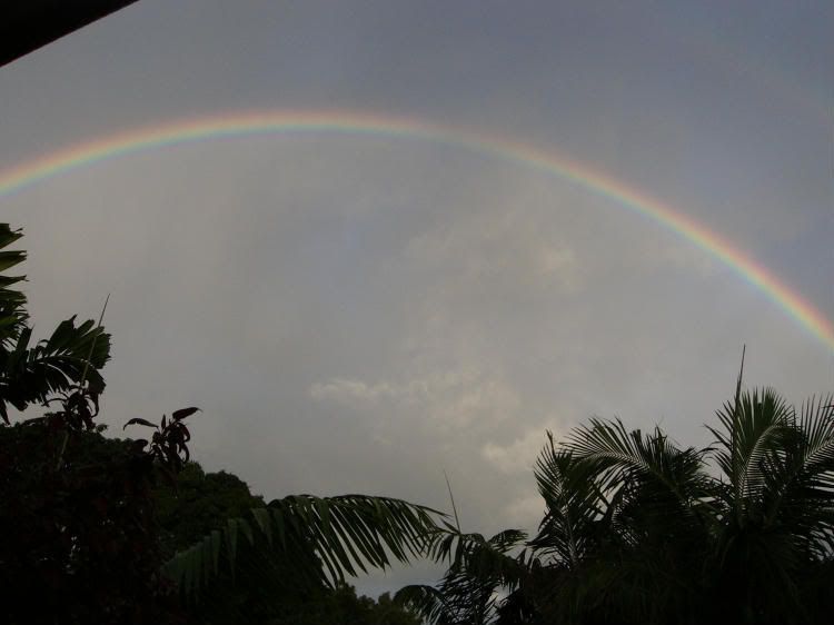 rainbow002.jpg