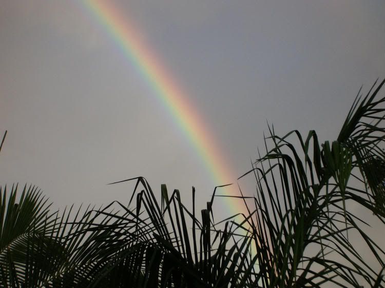 rainbow003.jpg