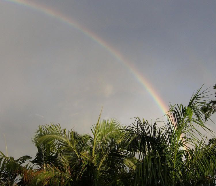 rainbow004.jpg