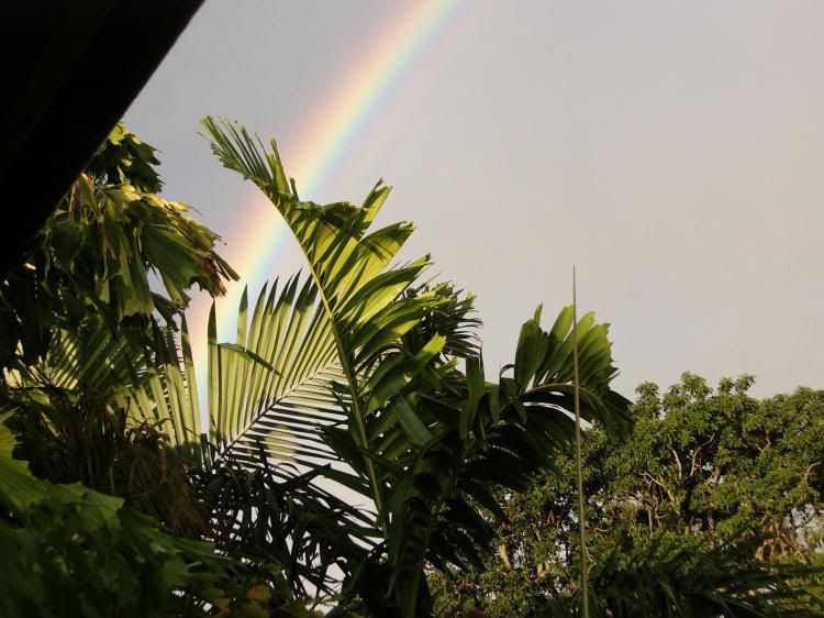 rainbow005.jpg