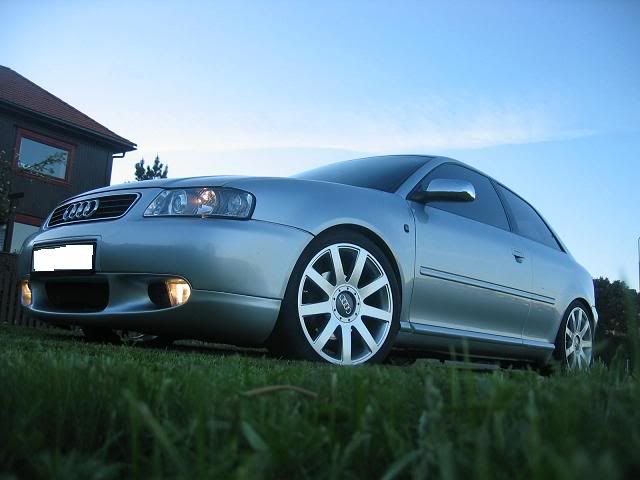 audisalg3.jpg