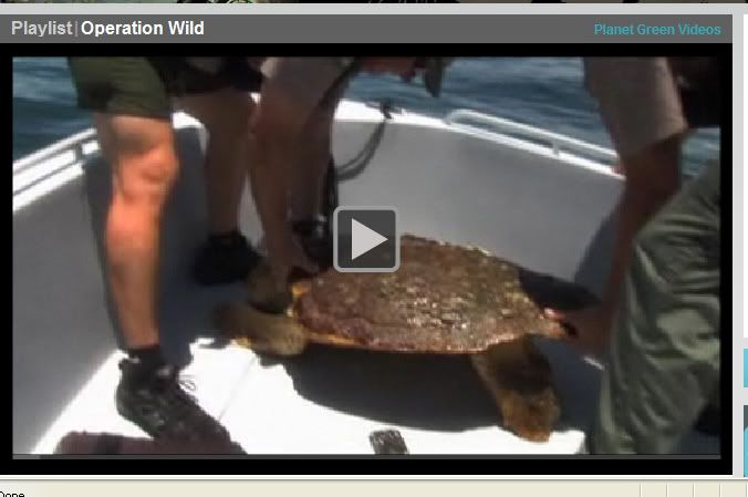 external image screenshotresourcecrop.jpg