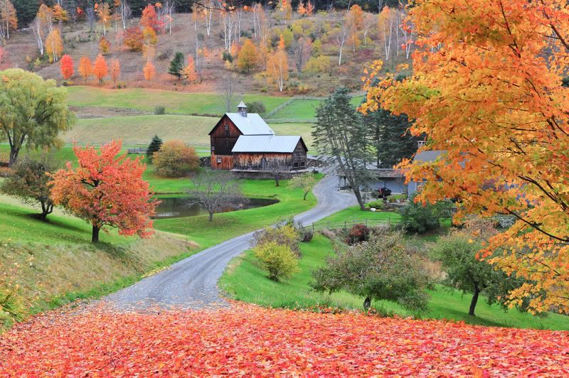 Sleepy Hollow Farm, Vermont Pictures, Images and Photos
