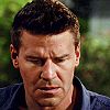 photo Bones451_zpsf5c5b3e5.jpg