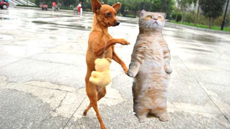  photo lovejpg_zps008167b7.jpg