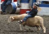MuttonBack.jpg image by TromboneAl