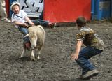 MuttonFalling.jpg image by TromboneAl