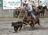 Roping.jpg image by TromboneAl