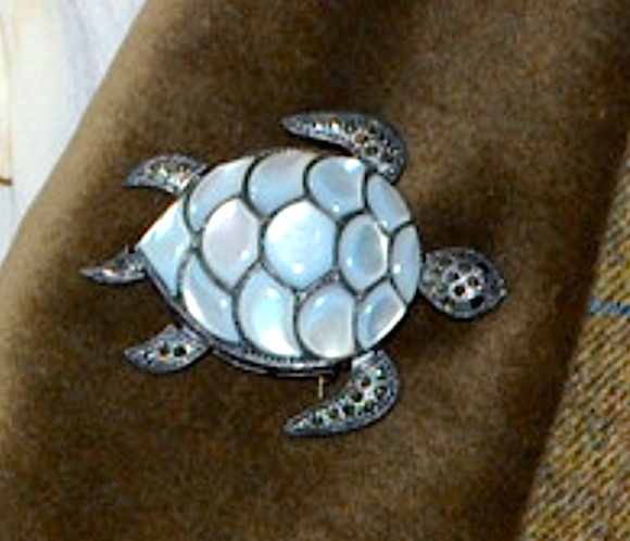  photo TURTLE-DETAIL_zps86c5878a.png
