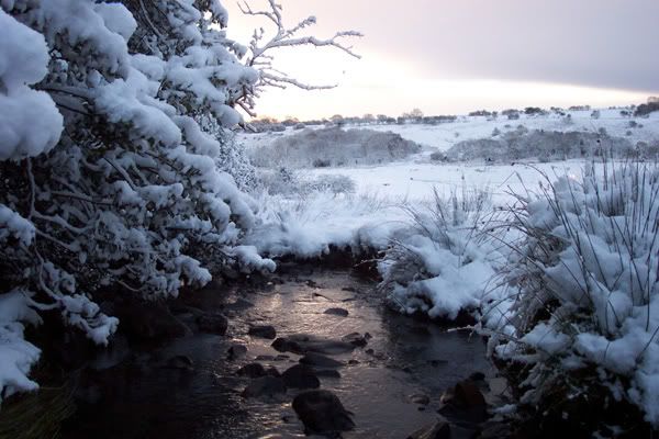 snow_river.jpg