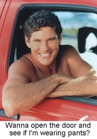 david hasselhoff baywatch