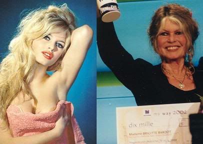 Brigitte Bardot, metáfora para a Europa