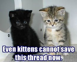 kittens_cannot_save.jpg