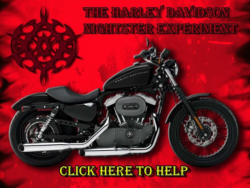 Harley Davidson Nightster. harley davidson nightster