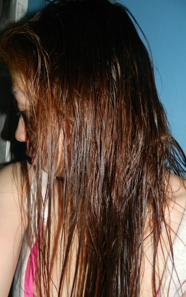 DSCN4602da