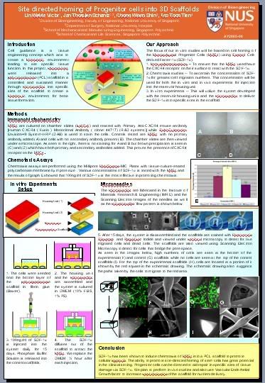 Fyp Poster