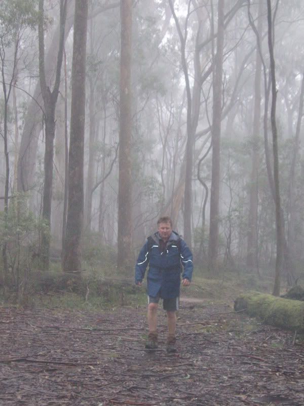 http://i8.photobucket.com/albums/a40/dadpad/bushwalking007.jpg