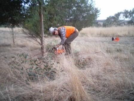 http://i8.photobucket.com/albums/a40/dadpad/summer/dadcuttinggumtrees.jpg