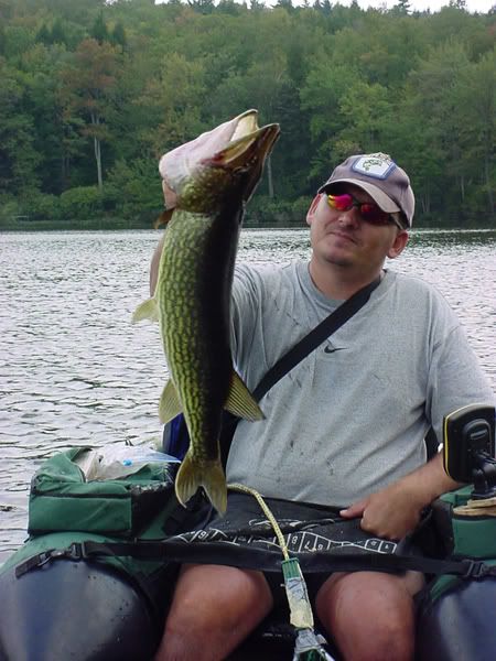 [Image: monsterpickerel-1.jpg]